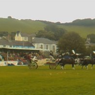 Gwyl Merlod A Chobiau Cymreig 2009