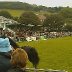 Gwyl Merlod A Chobiau Cymreig 2009