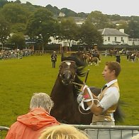 Gwyl Merlod A Chobiau Cymreig 2009