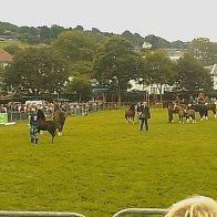 Gwyl Merlod A Chobiau Cymreig 2009