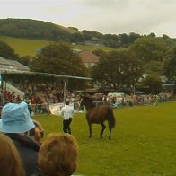 Gwyl Merlod A Chobiau Cymreig 2009