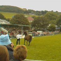 Gwyl Merlod A Chobiau Cymreig 2009