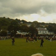 Gwyl Merlod A Chobiau Cymreig 2009