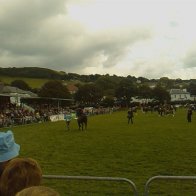 Gwyl Merlod A Chobiau Cymreig 2009