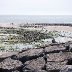 Llantwit_Beach_4