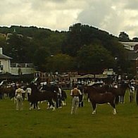 Gwyl Merlod A Chobiau Cymreig 2009