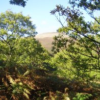 Autumn on the Sugarloaf, Abergavenny