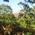 Autumn on the Sugarloaf, Abergavenny