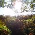 Autumn on the Sugarloaf, Abergavenny