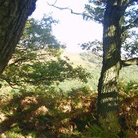 Autumn on the Sugarloaf, Abergavenny