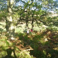 Autumn on the Sugarloaf, Abergavenny