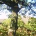 Autumn on the Sugarloaf, Abergavenny