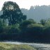 Castell Dinefwr o Bont Cilsan