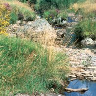 Ford Upper Tywi