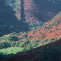 Tywi valley from Rhandir-mwyn Mine