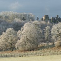 Hoar Frost Dinefwr