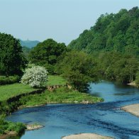 May Blossom in the Tywi Valley