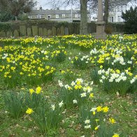 Aberdare Cemetery 9