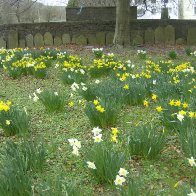 Aberdare Cemetery 7