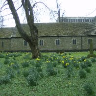 Aberdare Cemetery 3