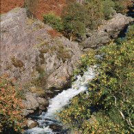 Tywi near Junction Pool Autumn