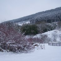 SNOWY CWMPARC