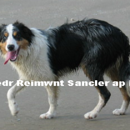 temp_ning_photo_file.png