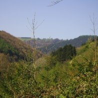Abercarn
