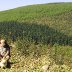 Abercarn and my dad
