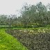 GPS_594