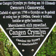 Crumlin Arm