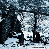 Cold Ruins