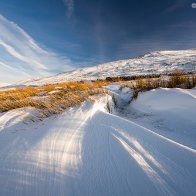 Snow Lines