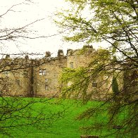 chirk castle .-flowers - fron 001