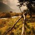 A Rude Morning, Nant Ffrancon (old stuff!)