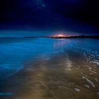 A New Light, Anglesey