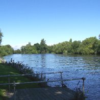 Thames from Bray Green