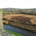 IMG_3452