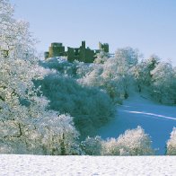 Snow Dinefwr Castle Field