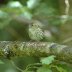 Ystrad Ffin RSPB