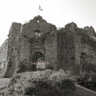 Oystermouth Castle