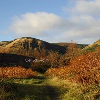 Blaencwm