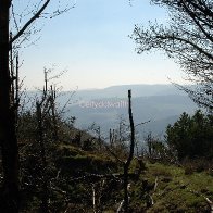 View from Mynydd ynysfio