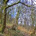 Fairy Glen in Winter