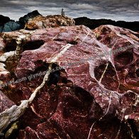 Inanimate Organism, Llanddwyn