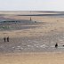 Cockle pickers on Llansteffan Sands