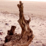 Llangennith Beach