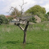 P1010379