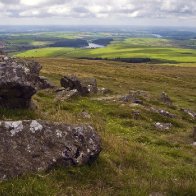 foel eryr pembrokeshire