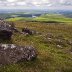 foel eryr pembrokeshire